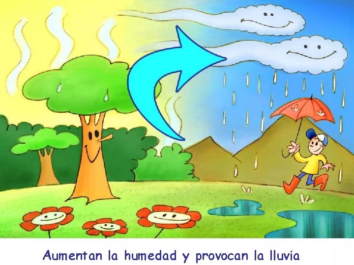 Aumentan la humedad y provocan la lluvia 