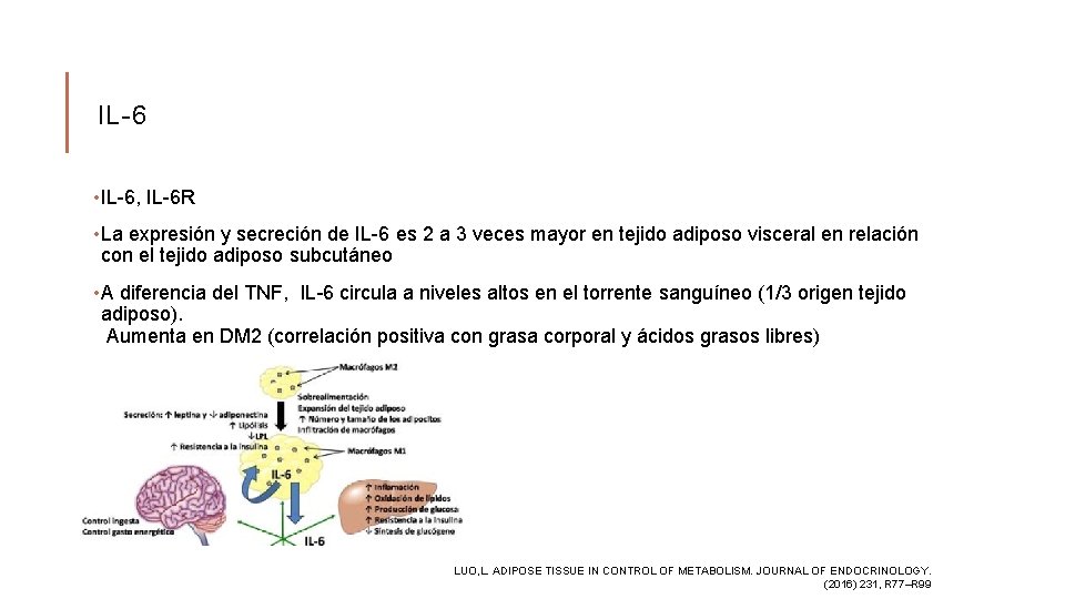 IL-6 • IL-6, IL-6 R • La expresión y secreción de IL-6 es 2