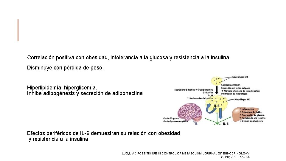 Correlación positiva con obesidad, intolerancia a la glucosa y resistencia a la insulina. Disminuye