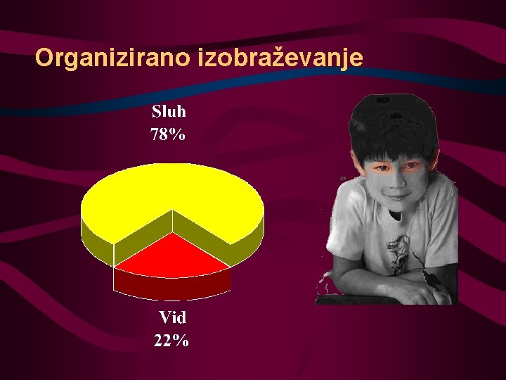 Organizirano izobraževanje 