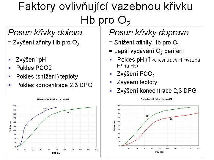 Faktory ovlivňující vazebnou křivku Hb pro O 2 Posun křivky doleva Posun křivky doprava