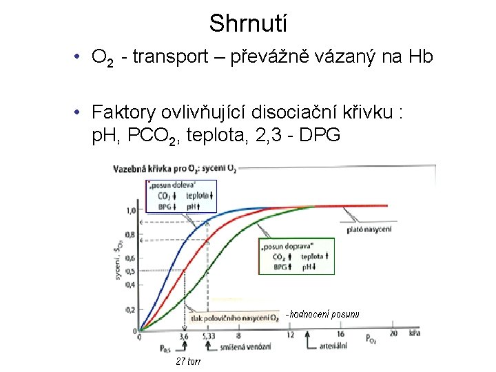 Shrnutí • O 2 - transport – převážně vázaný na Hb • Faktory ovlivňující