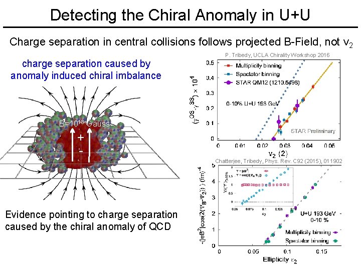 Detecting the Chiral Anomaly in U+U Charge separation in central collisions follows projected B-Field,