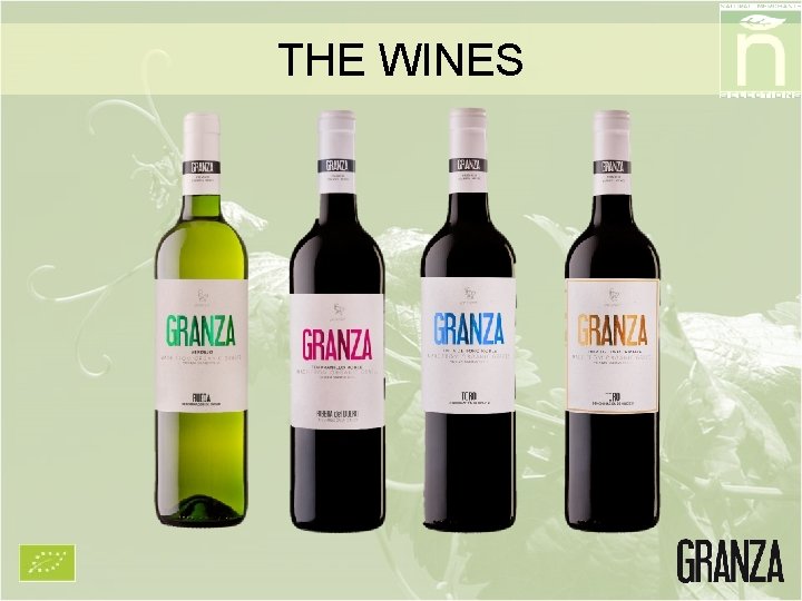 THE WINES 