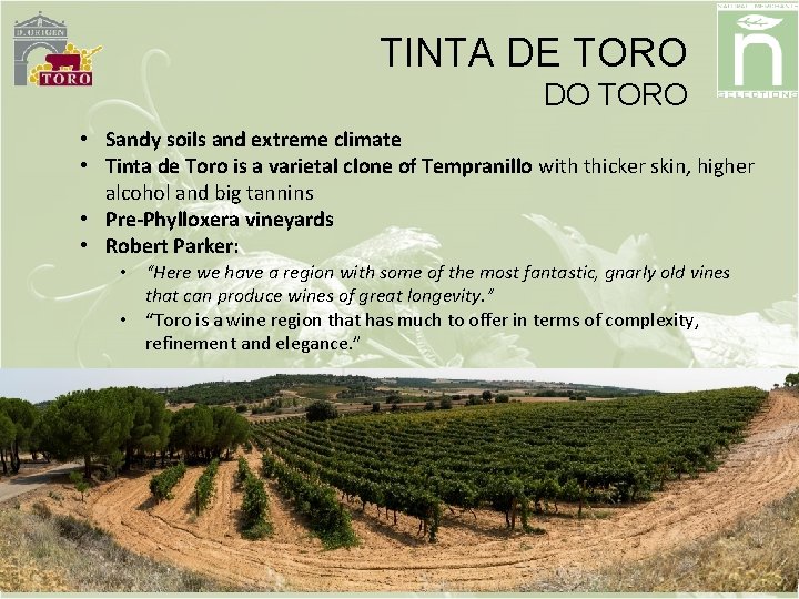 TINTA DE TORO DO TORO • Sandy soils and extreme climate • Tinta de