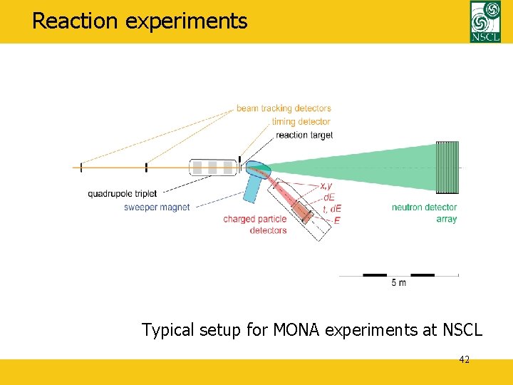 Reaction experiments Typical setup for MONA experiments at NSCL 42 
