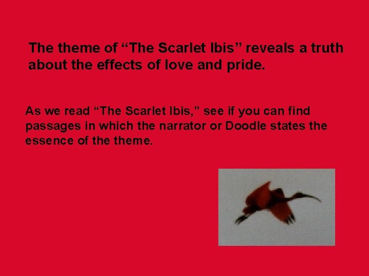 The theme of “The Scarlet Ibis” reveals a truth about the effects of love