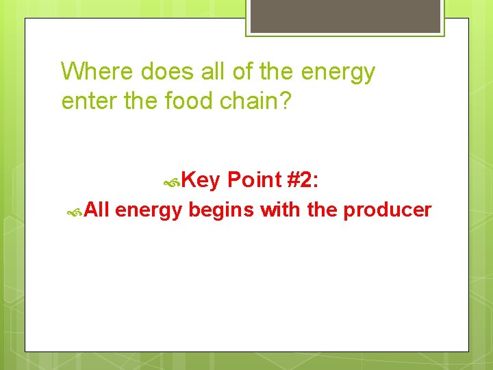 Where does all of the energy enter the food chain? Key All Point #2: