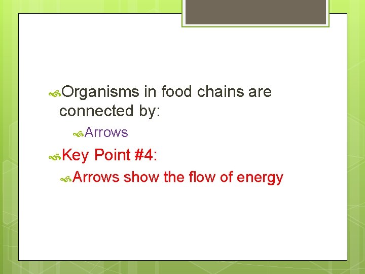  Organisms in food chains are connected by: Arrows Key Point #4: Arrows show