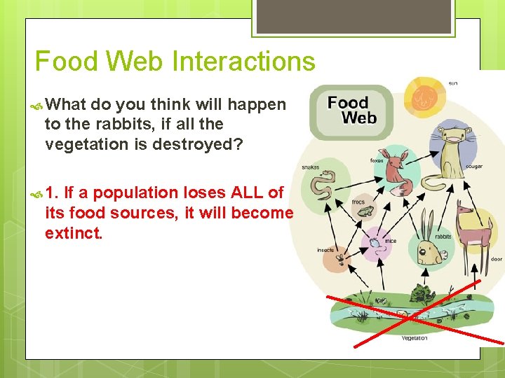 Food Web Interactions What do you think will happen to the rabbits, if all