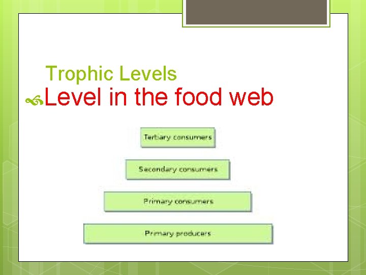 Trophic Levels Level in the food web 