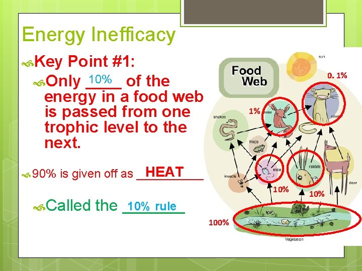 Energy Inefficacy Key Point #1: 10% of the Only ____ energy in a food