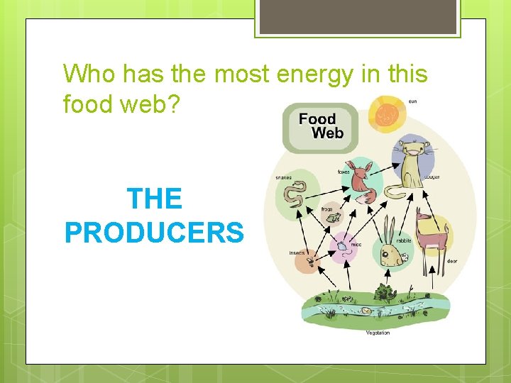 Who has the most energy in this food web? THE PRODUCERS 