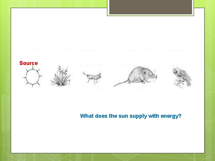 Source What does the sun supply with energy? 