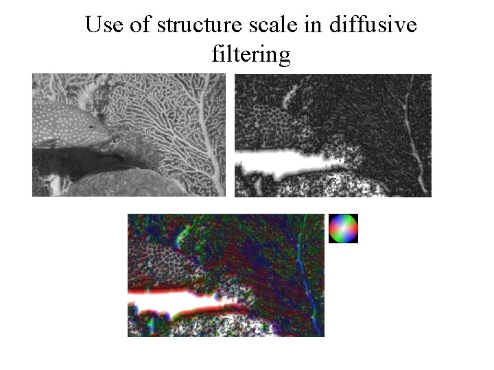 Use of structure scale in diffusive filtering 