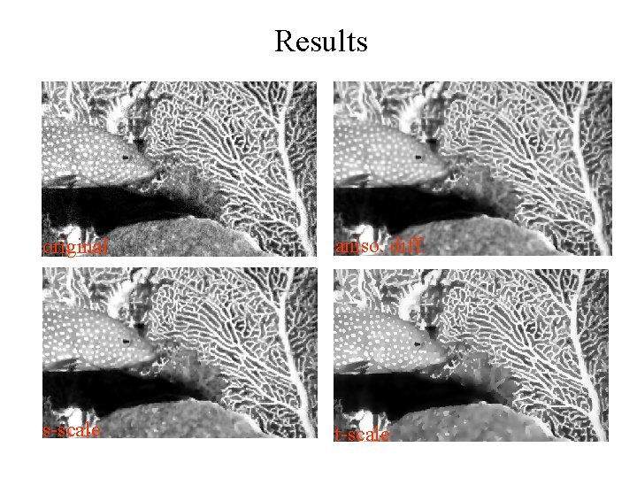 Results original aniso. diff. s-scale t-scale 