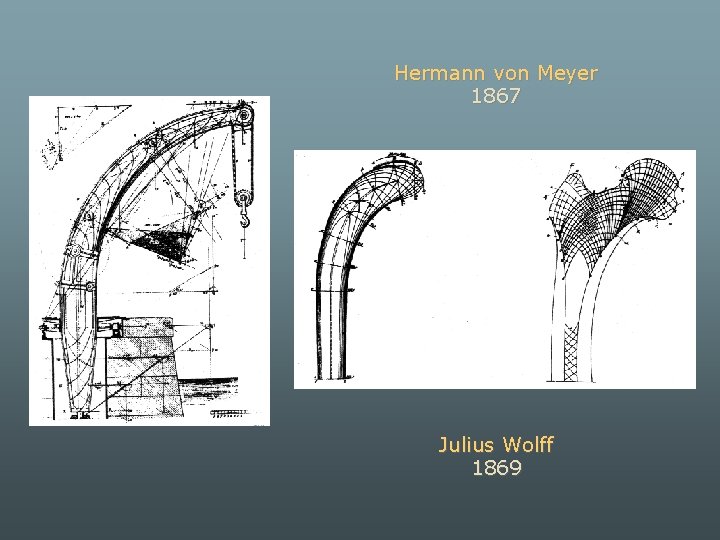 Hermann von Meyer 1867 Julius Wolff 1869 