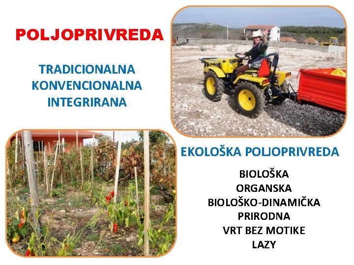 POLJOPRIVREDA TRADICIONALNA KONVENCIONALNA INTEGRIRANA EKOLOŠKA POLJOPRIVREDA BIOLOŠKA ORGANSKA BIOLOŠKO-DINAMIČKA PRIRODNA VRT BEZ MOTIKE LAZY