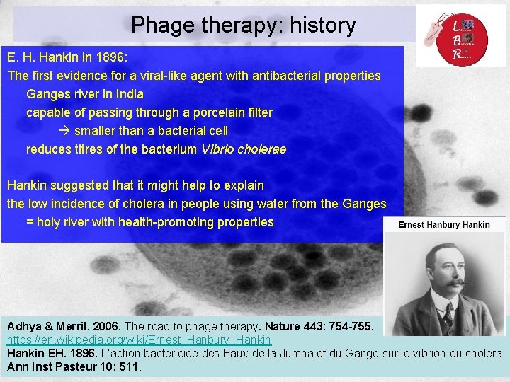 Phage therapy: history E. H. Hankin in 1896: The first evidence for a viral-like Phage therapy: history E. H. Hankin in 1896: The first evidence for a viral-like