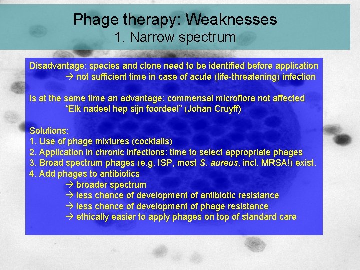 Phage therapy: Weaknesses 1. Narrow spectrum Disadvantage: species and clone need to be identified Phage therapy: Weaknesses 1. Narrow spectrum Disadvantage: species and clone need to be identified