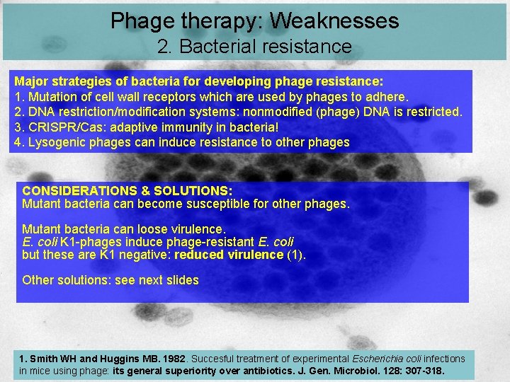 Phage therapy: Weaknesses 2. Bacterial resistance Major strategies of bacteria for developing phage resistance: