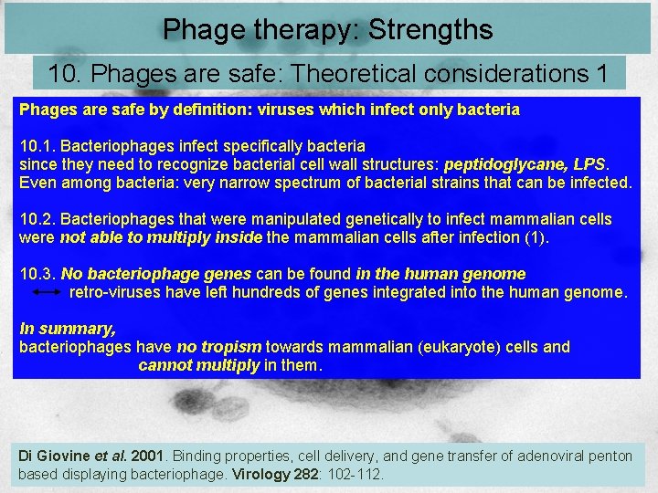 Phage therapy: Strengths 10. Phages are safe: Theoretical considerations 1 Phages are safe by Phage therapy: Strengths 10. Phages are safe: Theoretical considerations 1 Phages are safe by