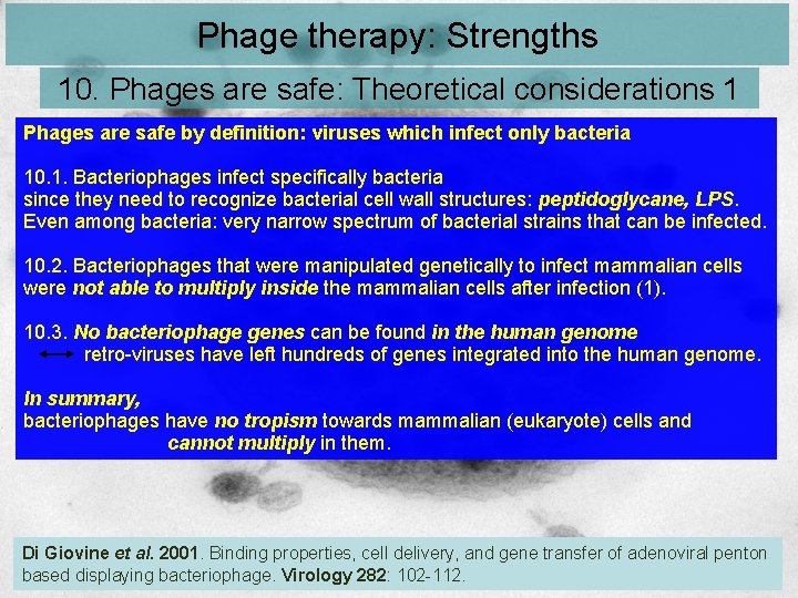 Phage therapy: Strengths 10. Phages are safe: Theoretical considerations 1 Phages are safe by