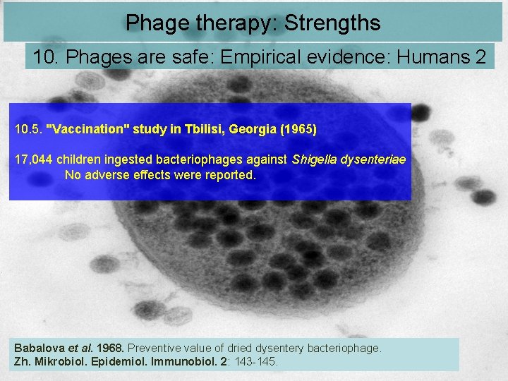 Phage therapy: Strengths 10. Phages are safe: Empirical evidence: Humans 2 10. 5. "Vaccination" Phage therapy: Strengths 10. Phages are safe: Empirical evidence: Humans 2 10. 5. "Vaccination"