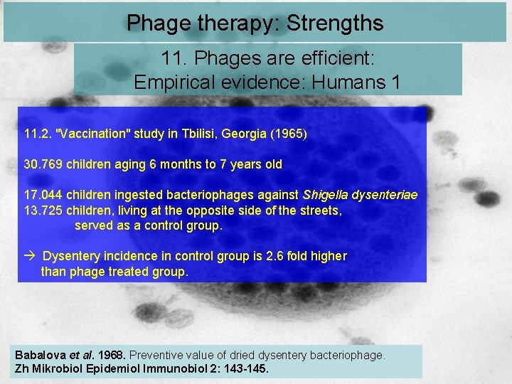 Phage therapy: Strengths 11. Phages are efficient: Empirical evidence: Humans 1 11. 2. "Vaccination" Phage therapy: Strengths 11. Phages are efficient: Empirical evidence: Humans 1 11. 2. "Vaccination"