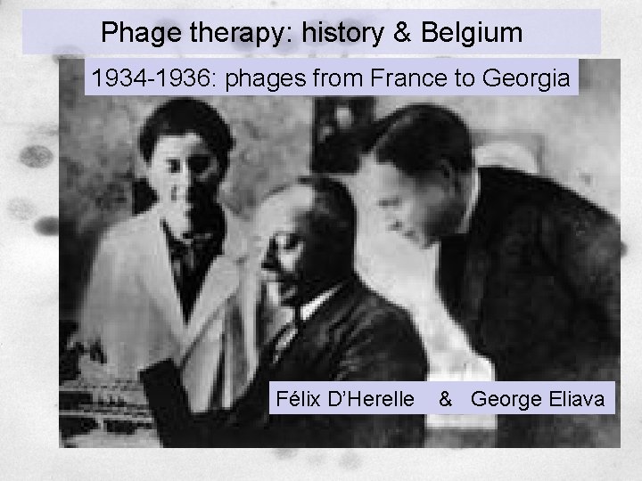 Phage therapy: history & Belgium 1934 -1936: phages from France to Georgia Félix D’Herelle Phage therapy: history & Belgium 1934 -1936: phages from France to Georgia Félix D’Herelle