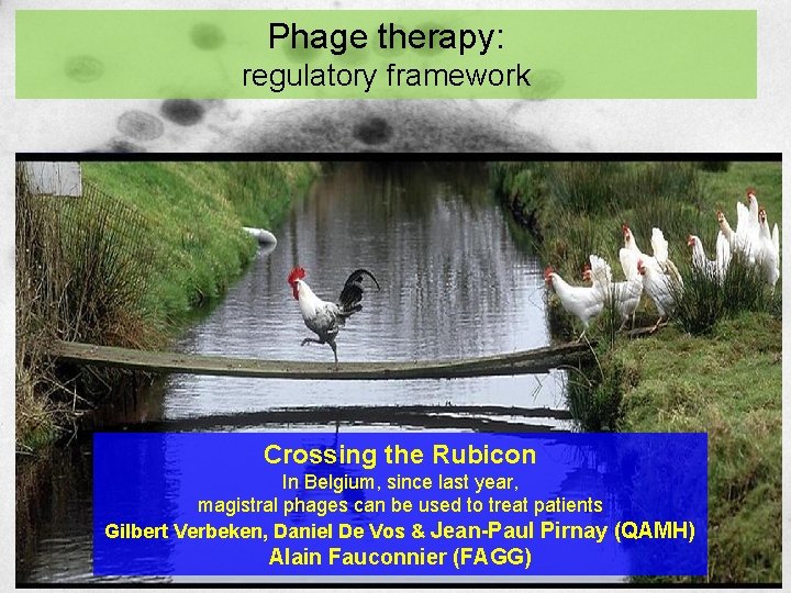 Phage therapy: regulatory framework Crossing the Rubicon In Belgium, since last year, magistral phages