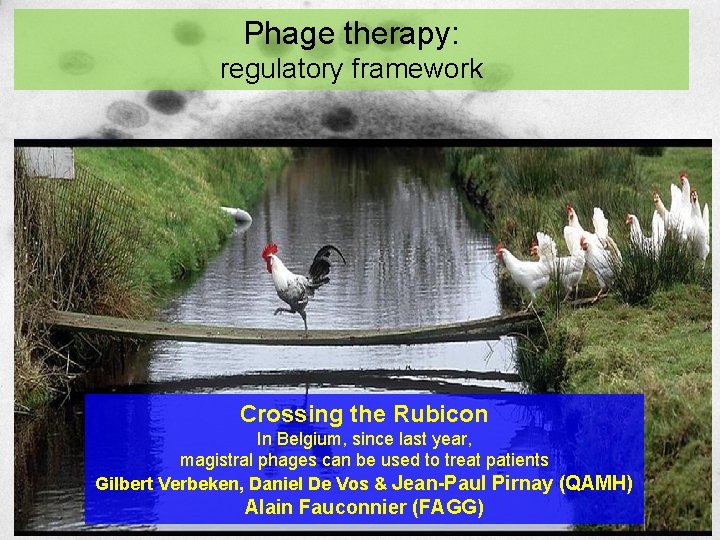 Phage therapy: regulatory framework Crossing the Rubicon In Belgium, since last year, magistral phages Phage therapy: regulatory framework Crossing the Rubicon In Belgium, since last year, magistral phages