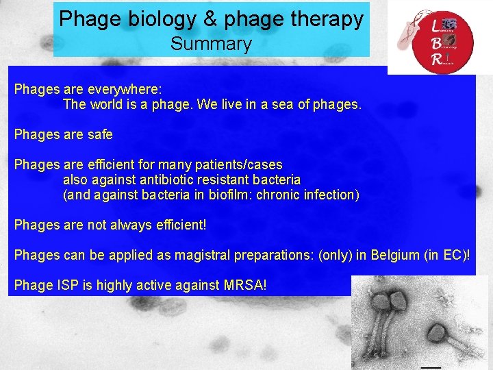 Phage biology & phage therapy Summary Phages are everywhere: The world is a phage.