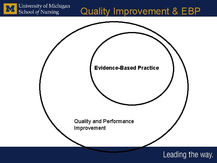 Quality Improvement & EBP Evidence-Based Practice Quality and Performance Improvement 