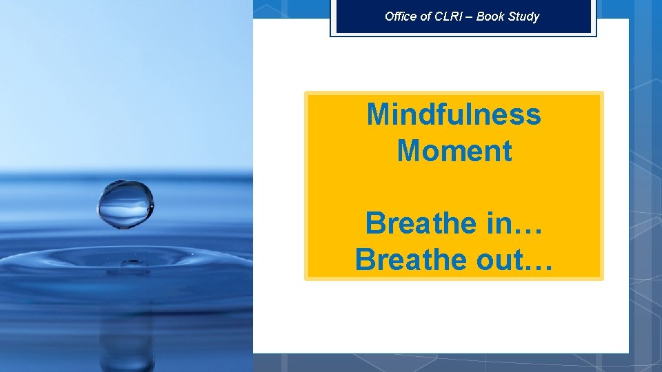 Office of CLRI – Book Study Mindfulness Moment Breathe in… Breathe out… 