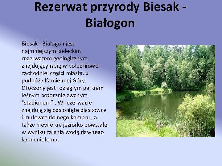 Rezerwat przyrody Biesak Białogon Biesak - Białogon jest najmniejszym kieleckim rezerwatem geologicznym znajdującym się