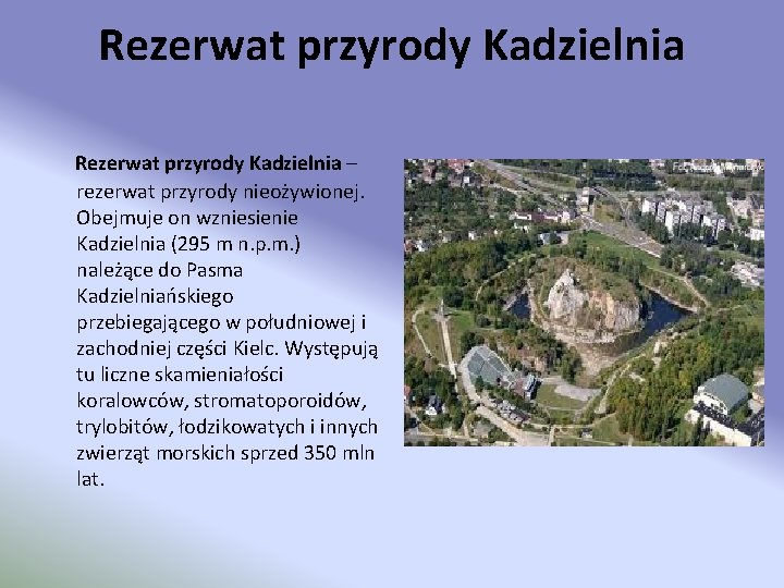 Rezerwat przyrody Kadzielnia – rezerwat przyrody nieożywionej. Obejmuje on wzniesienie Kadzielnia (295 m n.