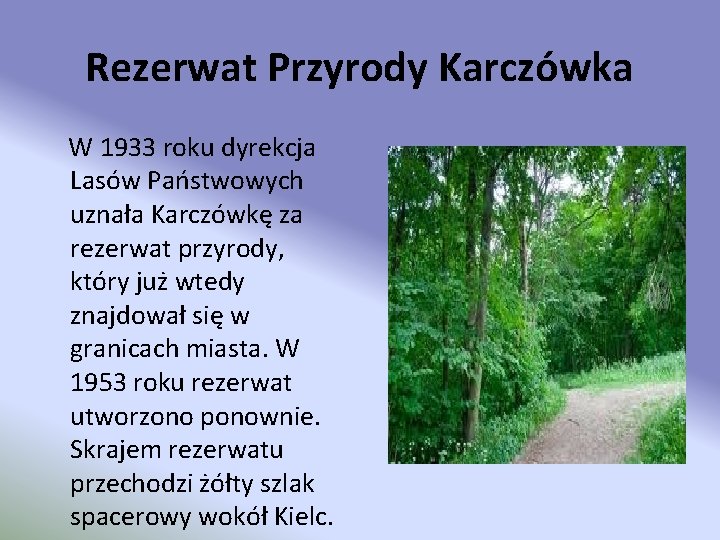 Rezerwat Przyrody Karczówka W 1933 roku dyrekcja Lasów Państwowych uznała Karczówkę za rezerwat przyrody,