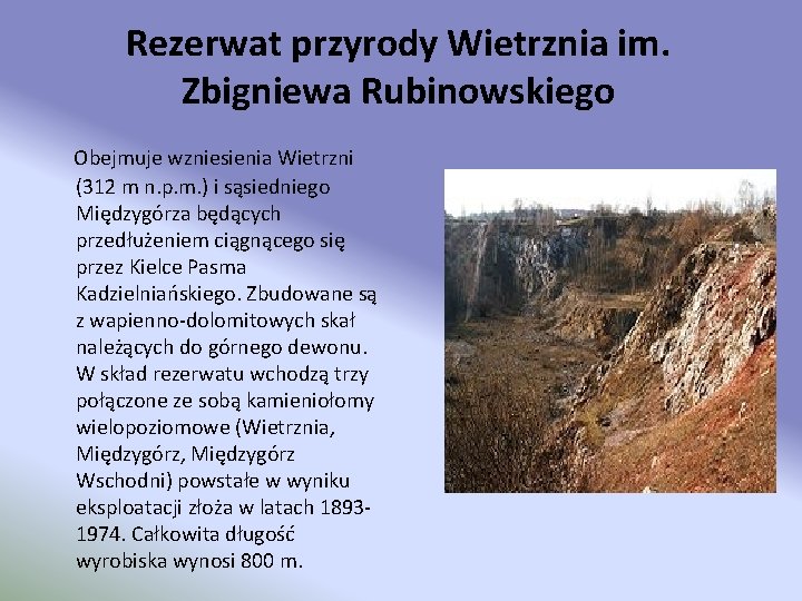 Rezerwat przyrody Wietrznia im. Zbigniewa Rubinowskiego Obejmuje wzniesienia Wietrzni (312 m n. p. m.