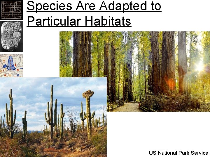 Species Are Adapted to Particular Habitats US National Park Service 