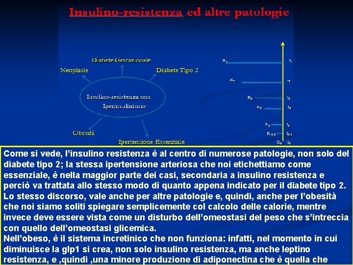 Come si vede, l’insulino resistenza è al centro di numerose patologie, non solo del