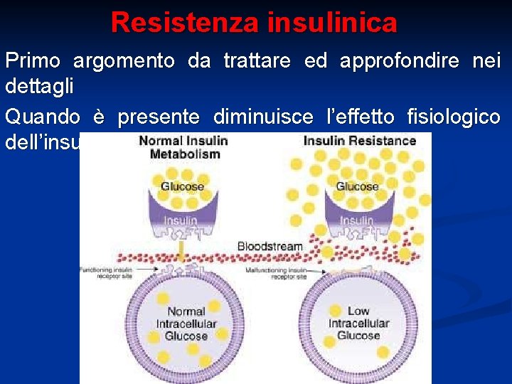 Resistenza insulinica Primo argomento da trattare ed approfondire nei dettagli Quando è presente diminuisce