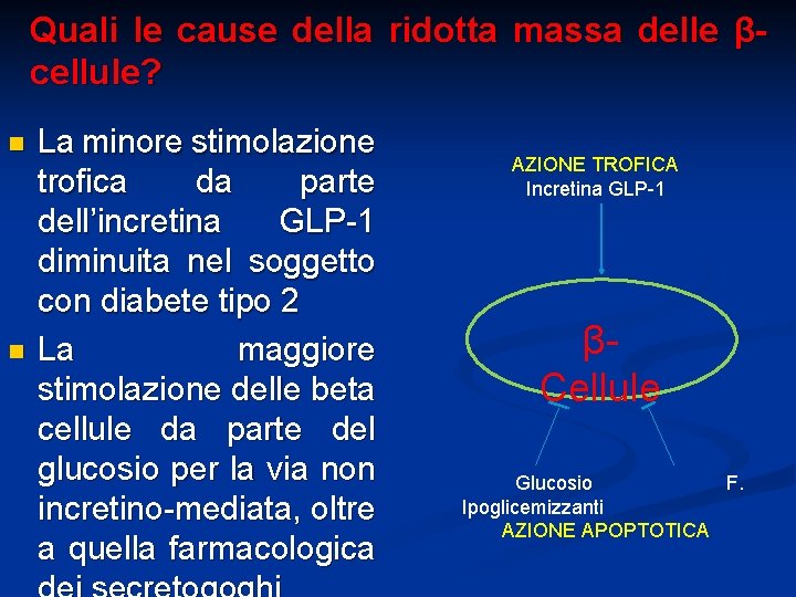 Quali le cause della ridotta massa delle βcellule? n n La minore stimolazione trofica