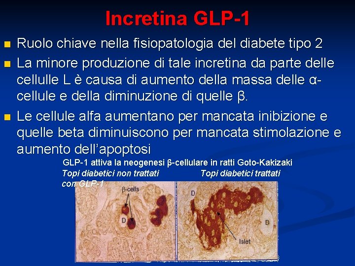 Incretina GLP-1 n n n Ruolo chiave nella fisiopatologia del diabete tipo 2 La