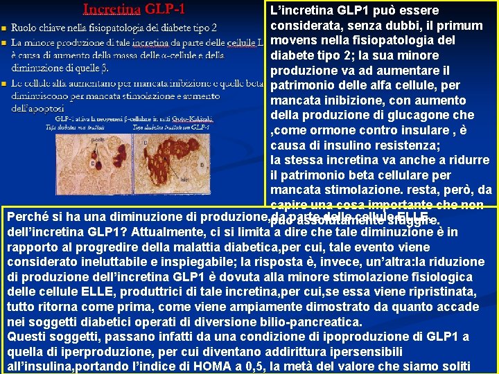 L’incretina GLP 1 può essere considerata, senza dubbi, il primum movens nella fisiopatologia del