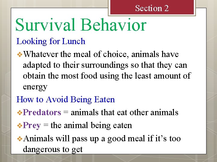 Section 2 Survival Behavior Looking for Lunch v Whatever the meal of choice, animals