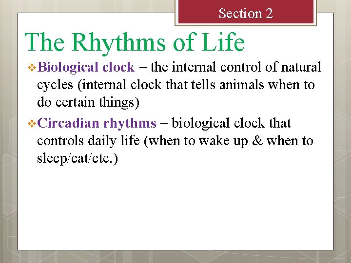 Section 2 The Rhythms of Life v Biological clock = the internal control of