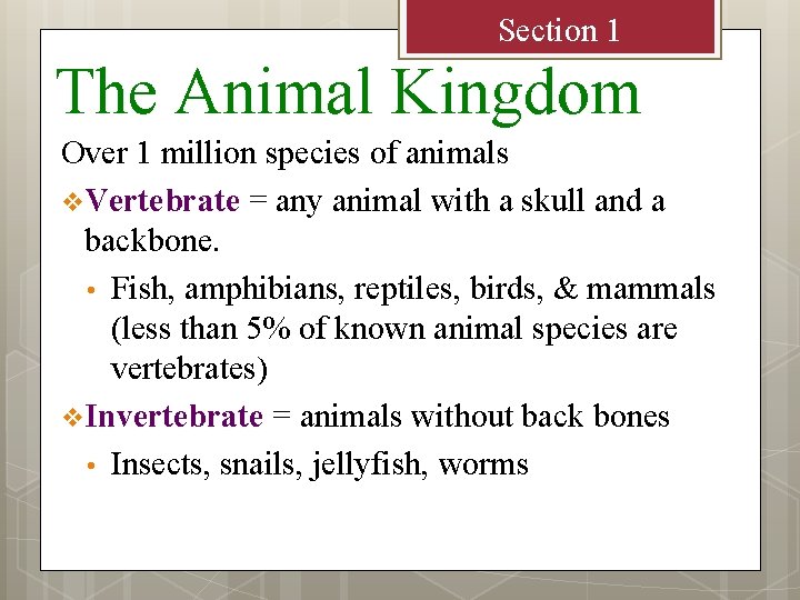 Section 1 The Animal Kingdom Over 1 million species of animals v Vertebrate =