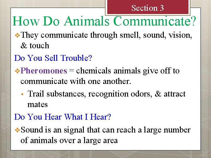 Section 3 How Do Animals Communicate? v They communicate through smell, sound, vision, &