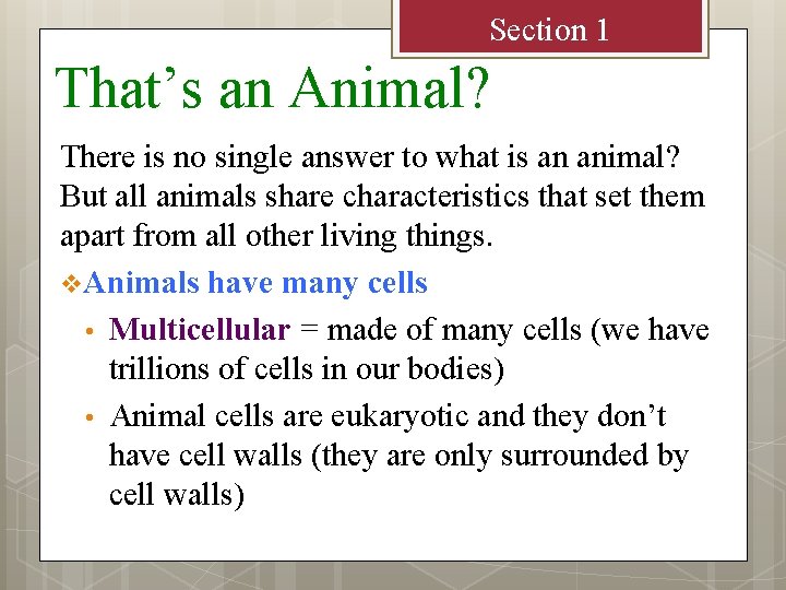 Section 1 That’s an Animal? There is no single answer to what is an